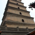 IMG_8119.JPG